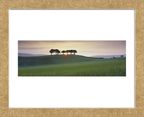 Somerset Sunrise  (Framed) -  David Noton - McGaw Graphics