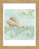 Spa Shells I (Framed) -  NBL Studio - McGaw Graphics