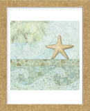 Spa Shells II (Framed) -  NBL Studio - McGaw Graphics