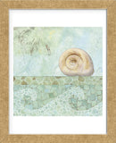 Spa Shells IV (Framed) -  NBL Studio - McGaw Graphics
