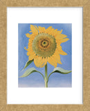 Sunflower, New Mexico, 1935  (Framed) -  Georgia O'Keeffe - McGaw Graphics