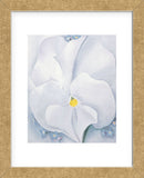 White Pansy, 1927  (Framed) -  Georgia O'Keeffe - McGaw Graphics