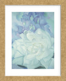 White Rose with Larkspur No. 2, 1927  (Framed) -  Georgia O'Keeffe - McGaw Graphics