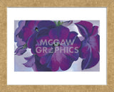 Petunias, 1925  (Framed) -  Georgia O'Keeffe - McGaw Graphics