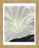 Morning Glory with Black, 1926 (Framed) -  Georgia O'Keeffe - McGaw Graphics