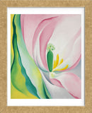 Pink Tulip, 1926 (Framed) -  Georgia O'Keeffe - McGaw Graphics