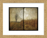 Al’s Tree (Framed) -  Dawne Polis - McGaw Graphics