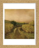 Sunset Cornfield (Framed) -  Dawne Polis - McGaw Graphics