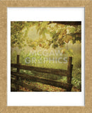 Autumn Overture (Framed) -  Dawne Polis - McGaw Graphics