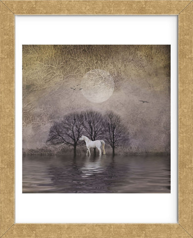 White Horse in Pond (Framed) -  Dawne Polis - McGaw Graphics