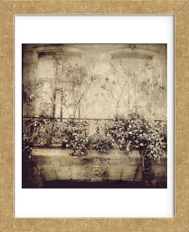 Paris Window Garden (Framed) -  Dawne Polis - McGaw Graphics