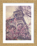 April in Paris (Framed) -  Dawne Polis - McGaw Graphics