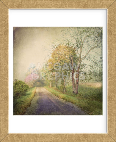Sweet Road (Framed) -  Dawne Polis - McGaw Graphics