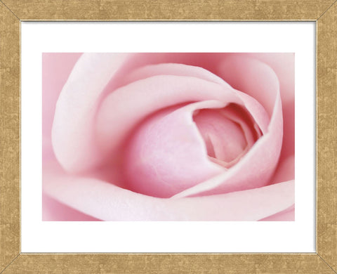 Pink  (Framed) -  Brian Leighton - McGaw Graphics
