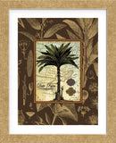 Date Palm  (Framed) -  Karl Rattner - McGaw Graphics