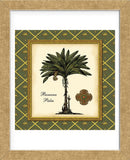 Banana Palm (Green)  (Framed) -  Karl Rattner - McGaw Graphics