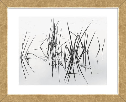 Lake of Two Rivers (Framed) | McGaw Graphics