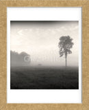Tree, Study #2  (Framed) -  Andrew Ren - McGaw Graphics