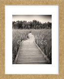 Towards Woods  (Framed) -  Andrew Ren - McGaw Graphics