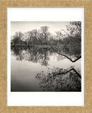 Rideau River, Study #1  (Framed) -  Andrew Ren - McGaw Graphics