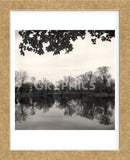 Rideau River, Study #2  (Framed) -  Andrew Ren - McGaw Graphics