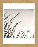 Beaver Pond, Study #1  (Framed) -  Andrew Ren - McGaw Graphics