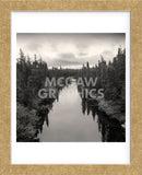 Roadside Labrador  (Framed) -  Andrew Ren - McGaw Graphics