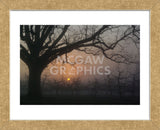 Foggy Oak (Framed) -  Erik Richards - McGaw Graphics