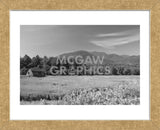 Adirondack Field (Framed) -  Erik Richards - McGaw Graphics
