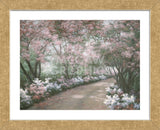 Azalea Walk (Framed) -  Diane Romanello - McGaw Graphics