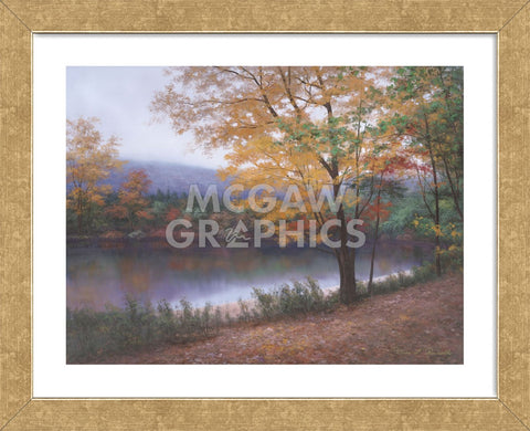 Golden Autumn  (Framed) -  Diane Romanello - McGaw Graphics