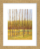 Tall Trees I (left) (Framed) -  Libby Smart - McGaw Graphics