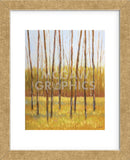 Tall Trees II (right) (Framed) -  Libby Smart - McGaw Graphics