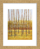 Tall Trees II (right) (Framed) -  Libby Smart - McGaw Graphics