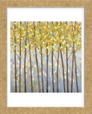 Glistening Tree Tops (Framed) -  Libby Smart - McGaw Graphics