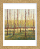 Grove of Trees (Framed) -  Libby Smart - McGaw Graphics