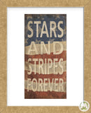 Stars and Stripes Forever (Framed) -  Sparx Studio - McGaw Graphics