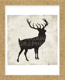 Deer (Framed) -  Sparx Studio - McGaw Graphics
