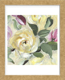 Sunny Rose (Framed) -  Stacey Wolf - McGaw Graphics