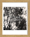 Forest (Framed) -  Kara Smith - McGaw Graphics