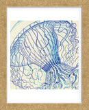 Vintage Jellyfish II (Framed) -  Sparx Studio - McGaw Graphics