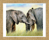 African Elephants (Framed) -  Sarah Stribbling - McGaw Graphics