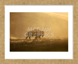 Bison (Framed) -  Jason Savage - McGaw Graphics