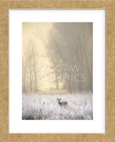 White-tailed Deer in Fog (Framed) -  Jason Savage - McGaw Graphics