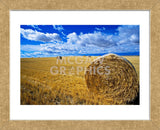 Hay & Sky (Framed) -  Jason Savage - McGaw Graphics