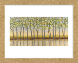 Canopy of Trees (Framed) -  Libby Smart - McGaw Graphics