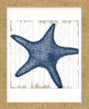 Seaside Starfish (Framed) -  Sparx Studio - McGaw Graphics