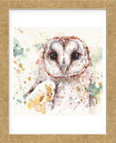 Australian Barn Owl (Framed) -  Sillier than Sally - McGaw Graphics