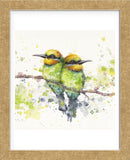 Family (Rainbow Bee Eaters) (Framed) -  Sillier than Sally - McGaw Graphics