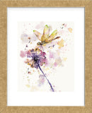 Dragonfly & Dandelion (Framed) -  Sillier than Sally - McGaw Graphics
